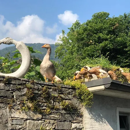 & Riposo Κάμπινγκ